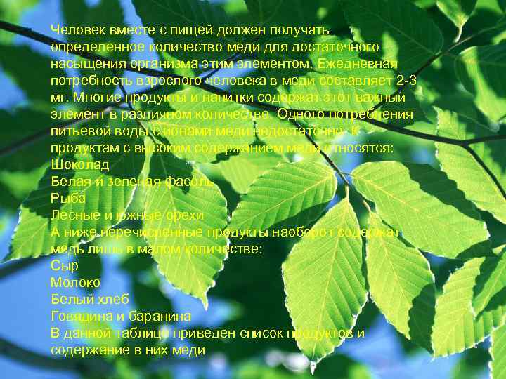 Человек вместе с пищей должен получать определенное количество меди для достаточного насыщения организма этим