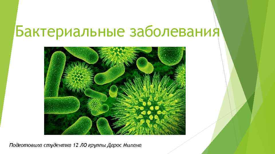 Бактериальные заболевания Подготовила студентка 12 ЛО группы Дарос Милана 