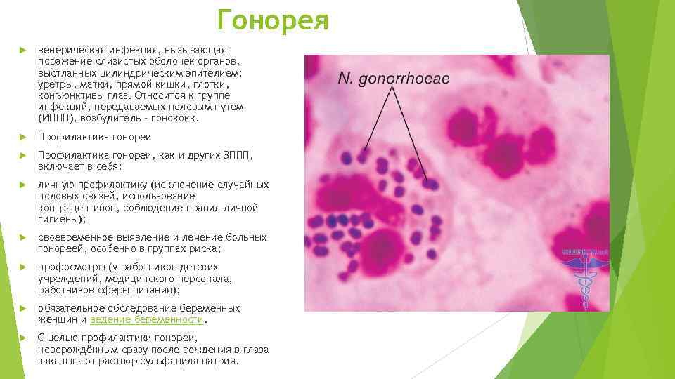 Гонорея венерическая инфекция, вызывающая поражение слизистых оболочек органов, выстланных цилиндрическим эпителием: уретры, матки, прямой