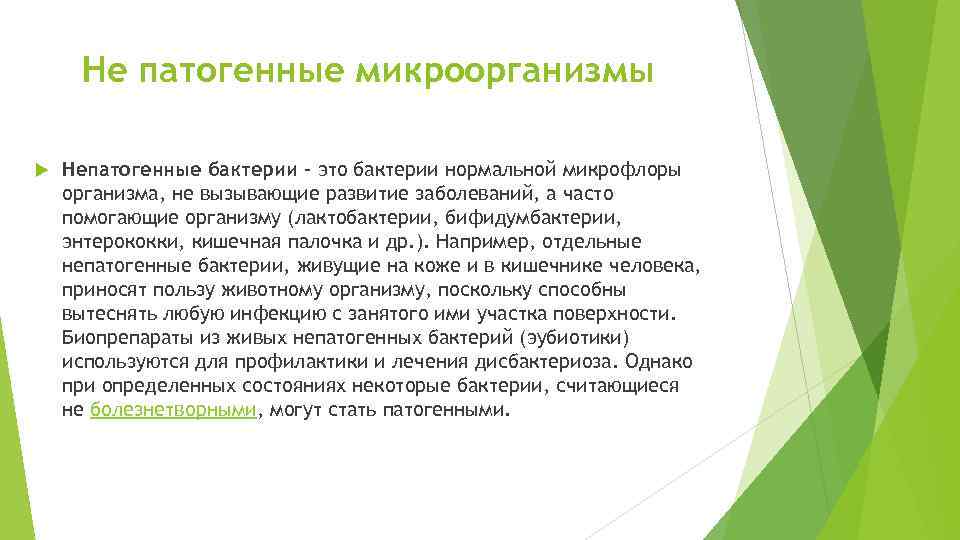  Не патогенные микроорганизмы Непатогенные бактерии - это бактерии нормальной микрофлоры организма, не вызывающие