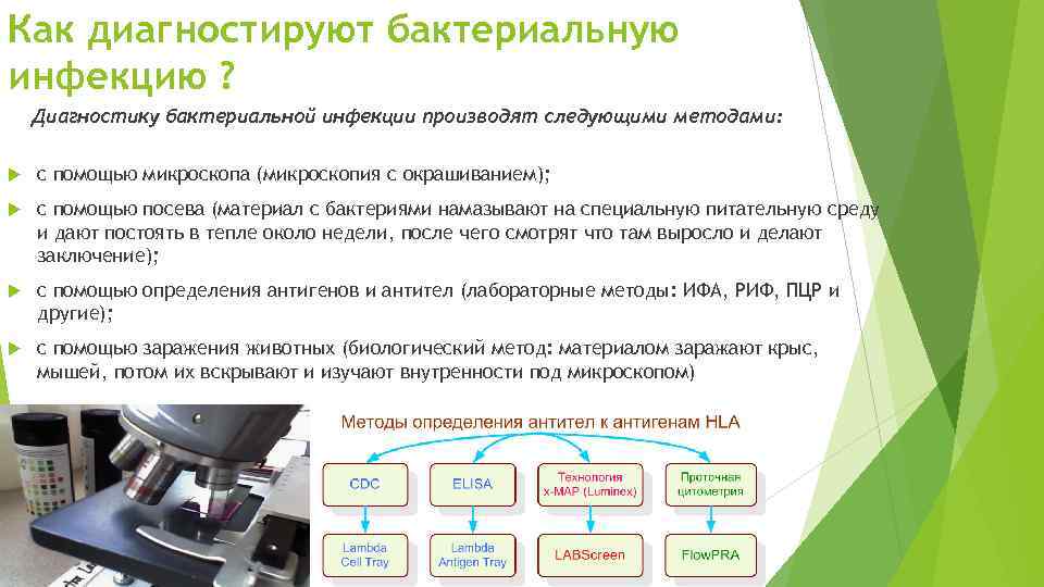 Как диагностируют бактериальную инфекцию ? Диагностику бактериальной инфекции производят следующими методами: с помощью микроскопа