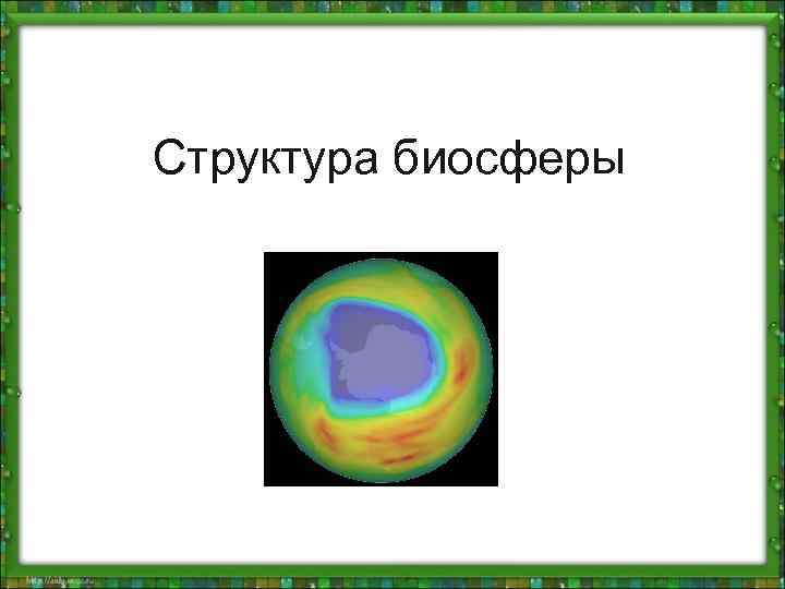 Структура биосферы 