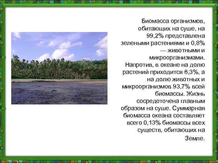 Биомасса организмов, обитающих на суше, на 99, 2% представлена зелеными растениями и 0, 8%