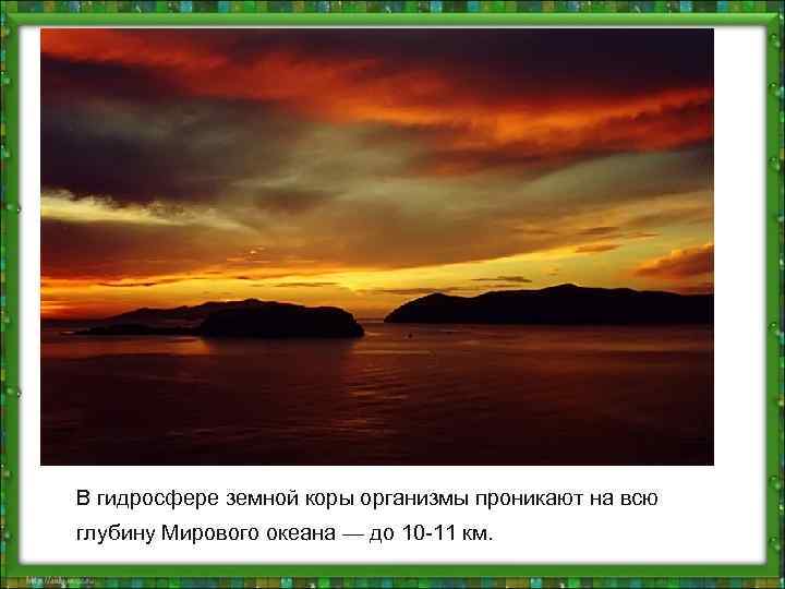 В гидросфере земной коры организмы проникают на всю глубину Мирового океана — до 10