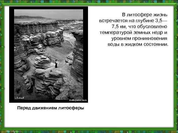 В литосфере жизнь встречается на глубине 3, 5— 7, 5 км, что обусловлено температурой