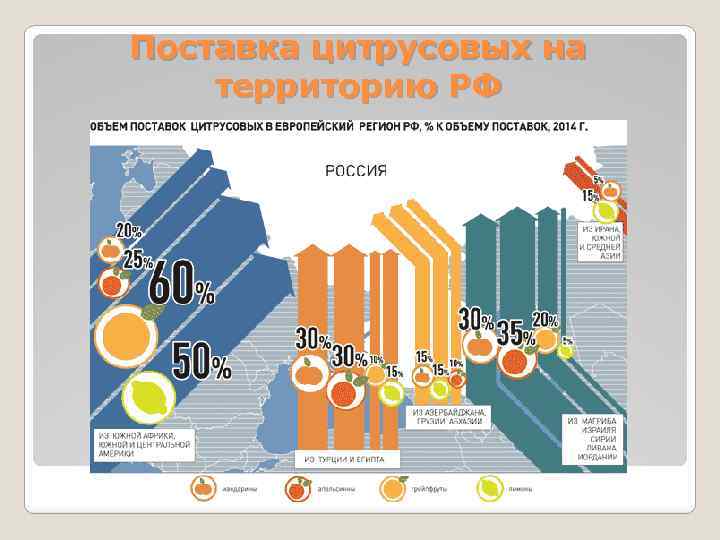 Поставка цитрусовых на территорию РФ 