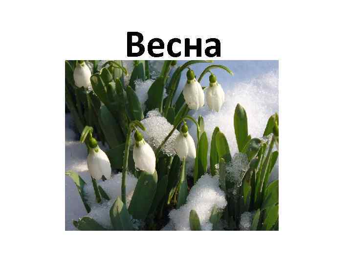 Весна 