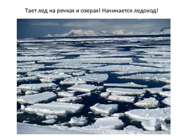 Тает лед на речках и озерах! Начинается ледоход! 