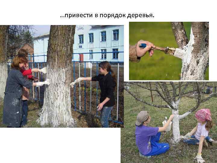 …привести в порядок деревья. 