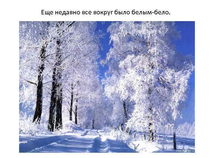 Еще недавно все вокруг было белым-бело. 