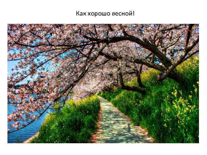 Как хорошо весной! 