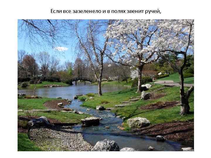 Если все зазеленело и в полях звенит ручей, 