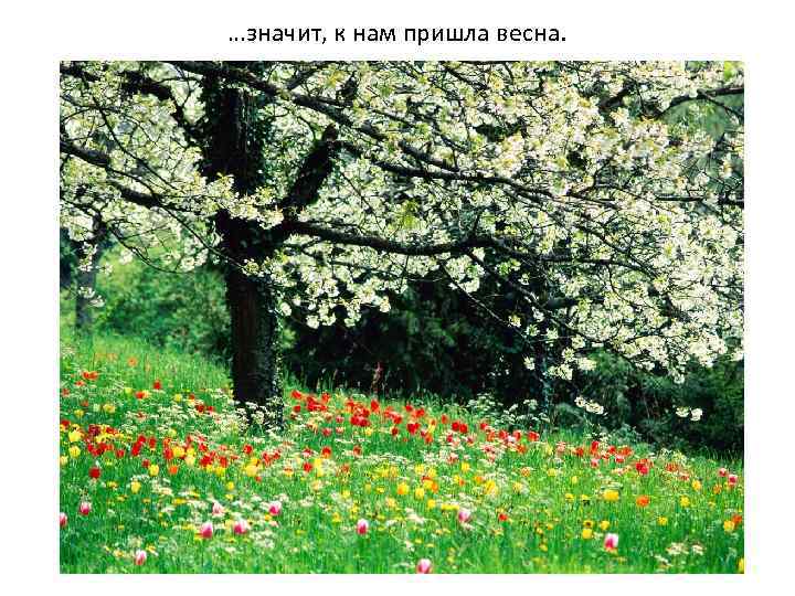 …значит, к нам пришла весна. 
