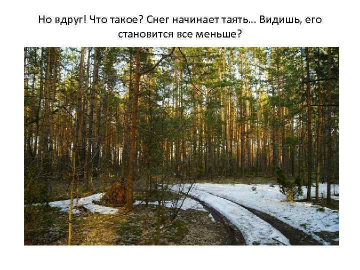 Но вдруг! Что такое? Снег начинает таять… Видишь, его становится все меньше? 