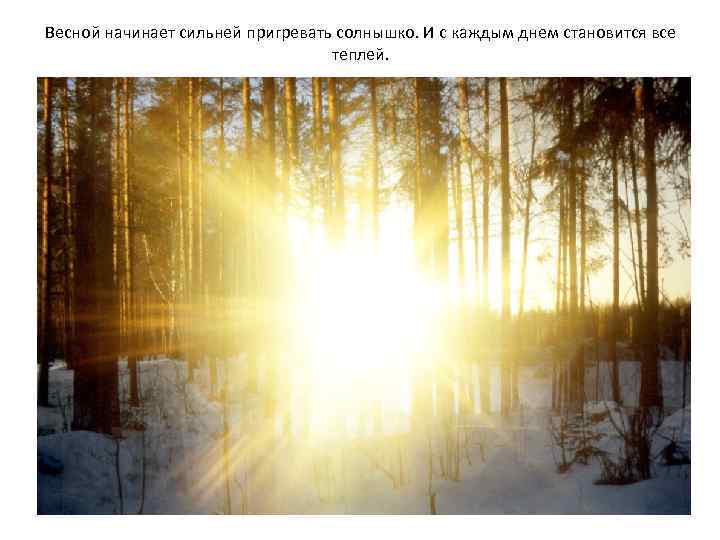 Весной начинает сильней пригревать солнышко. И с каждым днем становится все теплей. 