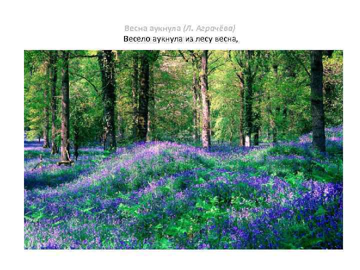 Весна аукнула (Л. Аграчёва) Весело аукнула из лесу весна, 