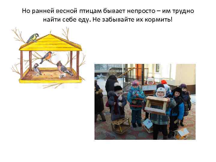 Но ранней весной птицам бывает непросто – им трудно найти себе еду. Не забывайте