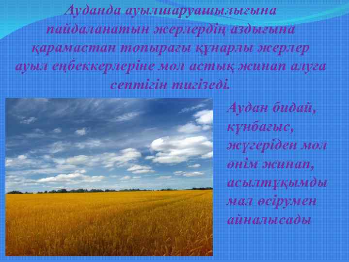 Ауданда ауылшаруашылығына пайдаланатын жерлердің аздығына қарамастан топырағы құнарлы жерлер ауыл еңбеккерлеріне мол астық жинап