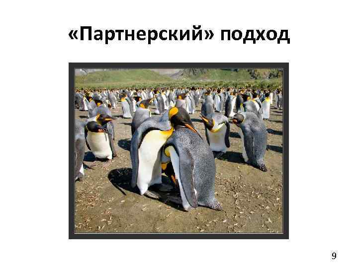 «Партнерский» подход 9 