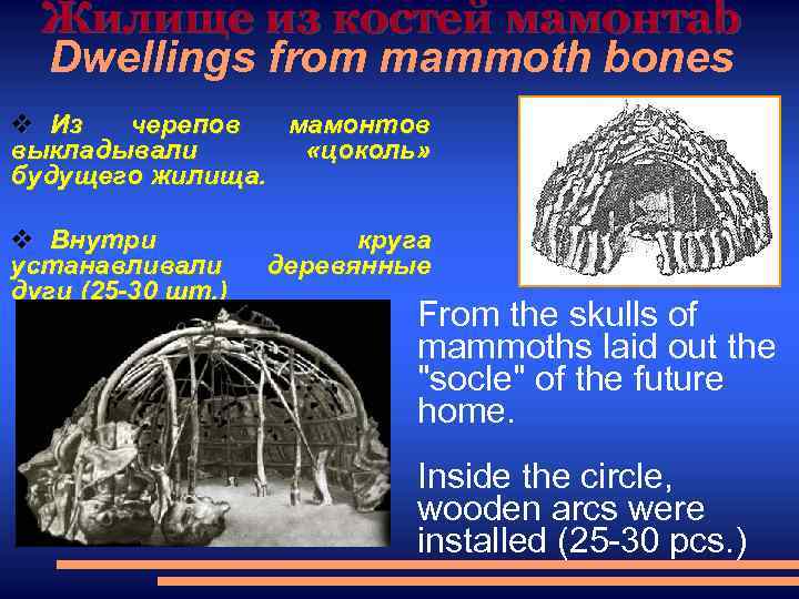 Жилище из костей мамонтаb Dwellings from mammoth bones v Из черепов мамонтов выкладывали «цоколь»