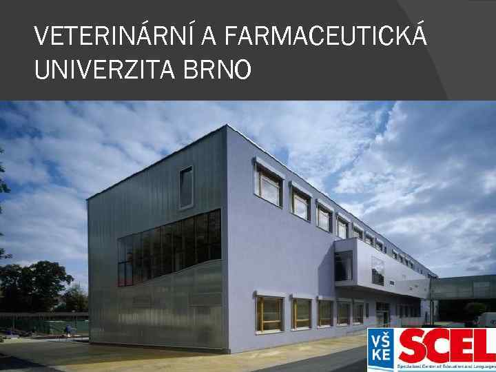 VETERINÁRNÍ A FARMACEUTICKÁ UNIVERZITA BRNO Fakulta veterinárního lékařství Faculty of Veterinary Hygiene and Ecology