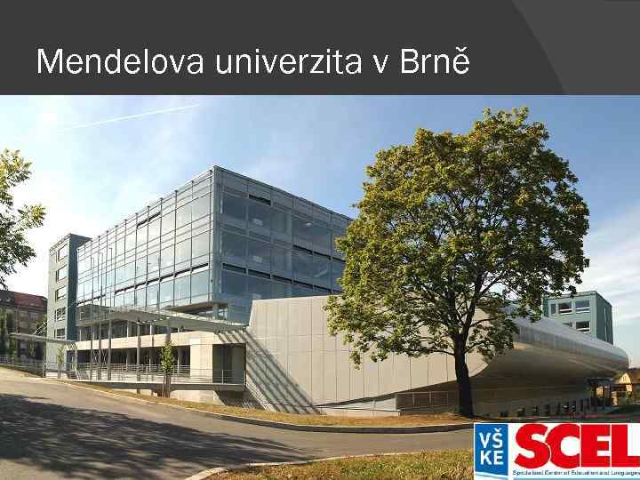 Mendelova univerzita v Brně Faculty of Agronomy Forestry and Wood Technology Business and Economics