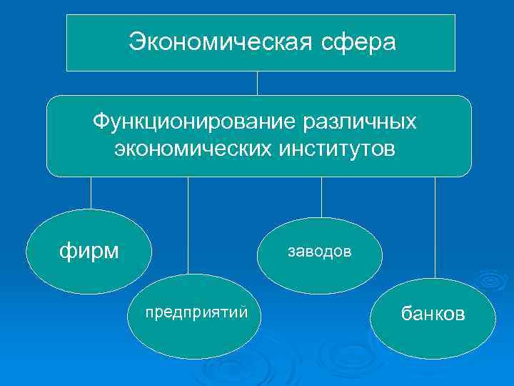 Экономическая сфера Функционирование различных экономических институтов фирм заводов предприятий банков 