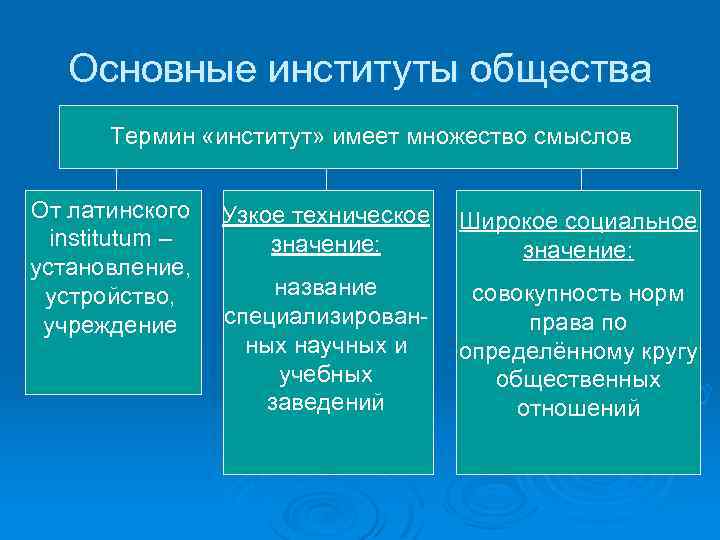 Основные институты общества Термин «институт» имеет множество смыслов От латинского institutum – установление, устройство,