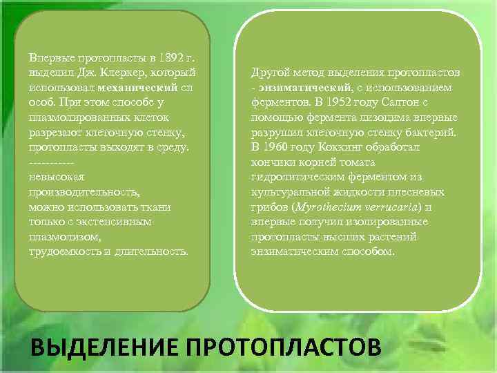 Впервые протопласты в 1892 г. выделил Дж. Клеркер, который использовал механический сп особ. При