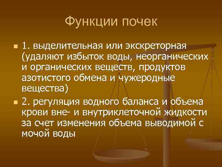 Функции почек n n 1. выделительная или экскреторная (удаляют избыток воды, неорганических и органических