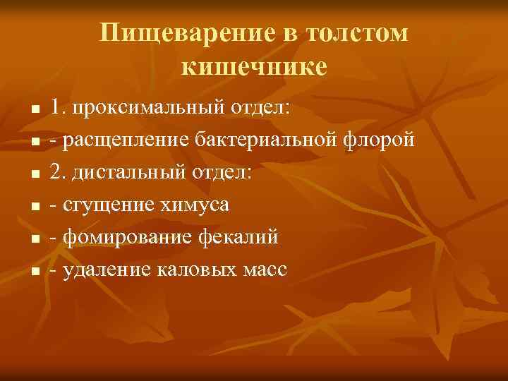 Пищеварение в толстом кишечнике n n n 1. проксимальный отдел: - расщепление бактериальной флорой