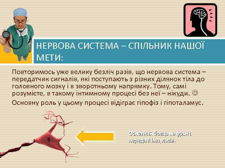 НЕРВОВА СИСТЕМА – СПІЛЬНИК НАШОЇ МЕТИ: Повторимось уже велику безліч разів, що нервова система