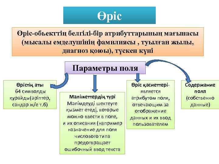 Өріс-обьекттің белгілі-бір атрибуттарының мағынасы (мысалы емделушінің фамилиясы , туылған жылы, диагноз қоюы), түскен күні