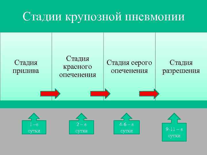 Стадии крупозной пневмонии Стадия прилива 1 –е сутки Стадия красного опеченения 2–е сутки Стадия