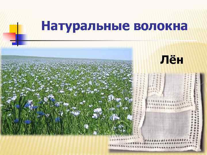 Натуральные волокна Лён 