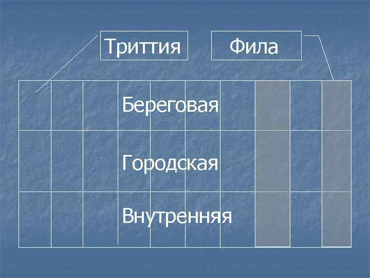 Триттия Фила Береговая Городская Внутренняя 