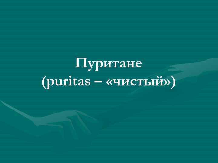 Пуритане (puritas – «чистый» ) 