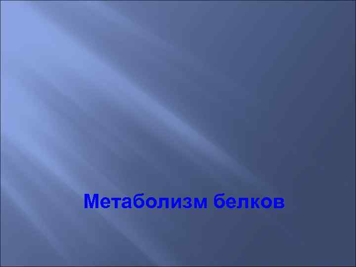 Метаболизм белков 