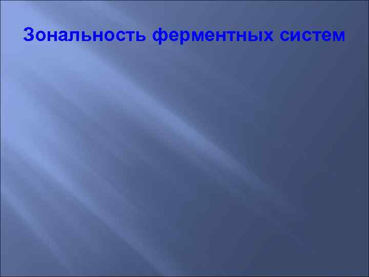 Зональность ферментных систем 