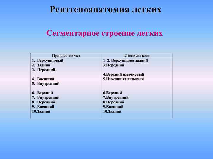 Рентгеноанатомия легких Сегментарное строение легких 