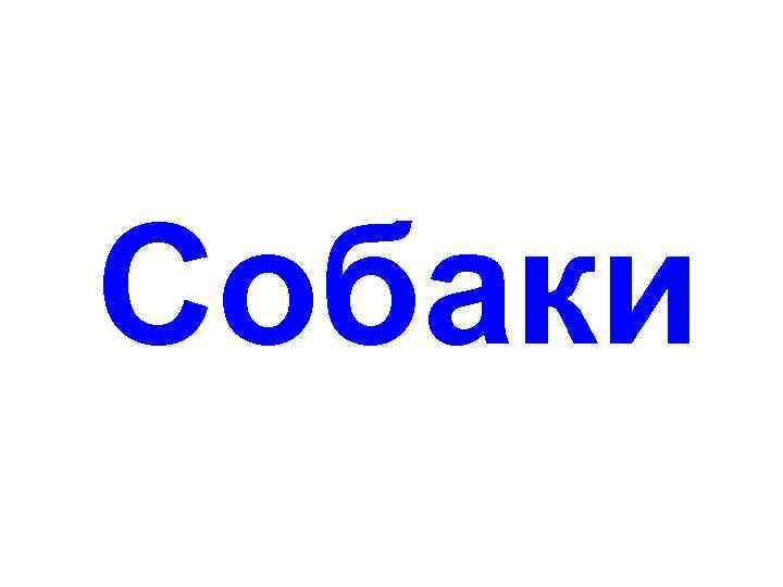 Собаки 