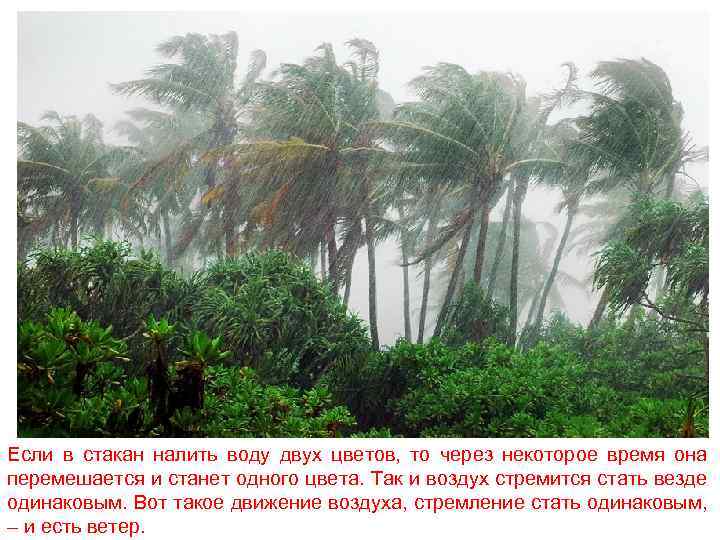 Если в стакан налить воду двух цветов, то через некоторое время она перемешается и