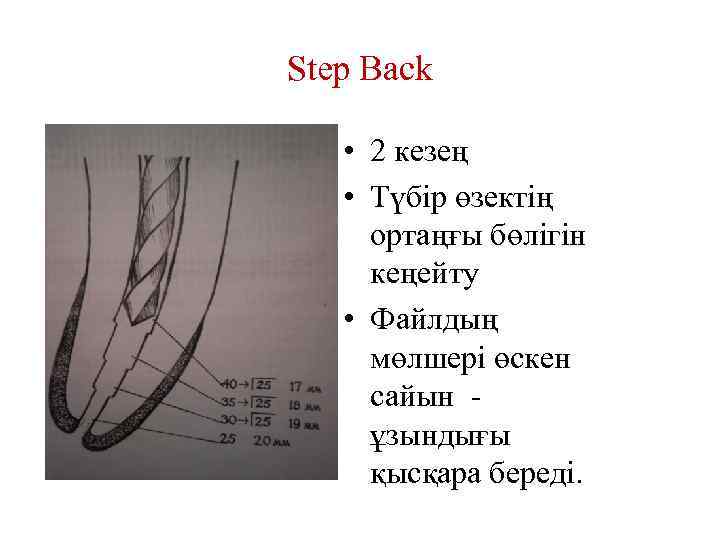 Step Back • 2 кезең • Түбір өзектің ортаңғы бөлігін кеңейту • Файлдың мөлшері