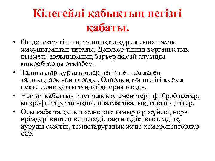 Кілегейлі қабықтың негізгі қабаты. • Ол дәнекер тіннен, талшықты құрылымнан және жасушыралдан тұрады. Дәнекер