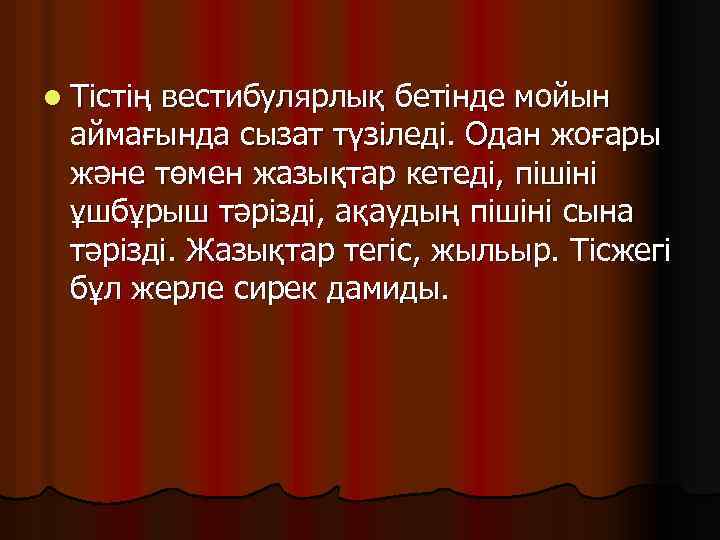 l Тістің вестибулярлық бетінде мойын аймағында сызат түзіледі. Одан жоғары және төмен жазықтар кетеді,