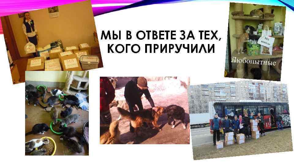 МЫ В ОТВЕТЕ ЗА ТЕХ, КОГО ПРИРУЧИЛИ 