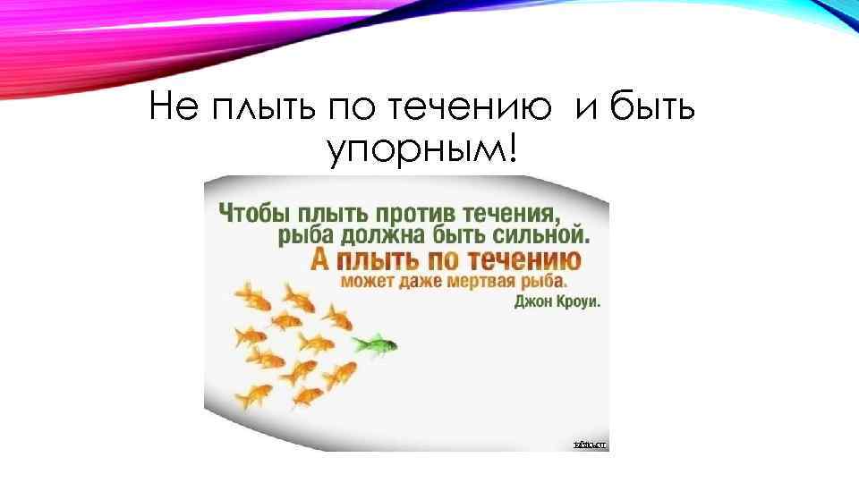 Не плыть по течению и быть упорным! 