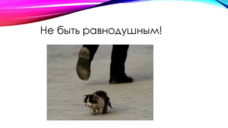 Не быть равнодушным! 