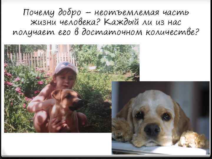 Почему добро – неотъемлемая часть жизни человека? Каждый ли из нас получает его в