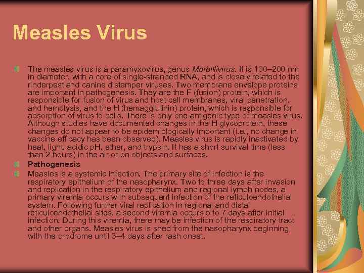 Measles Virus The measles virus is a paramyxovirus, genus Morbillivirus. It is 100– 200